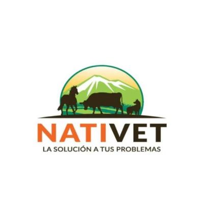 Proyecto nuevo (2)