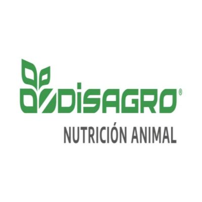 Proyecto nuevo (8)
