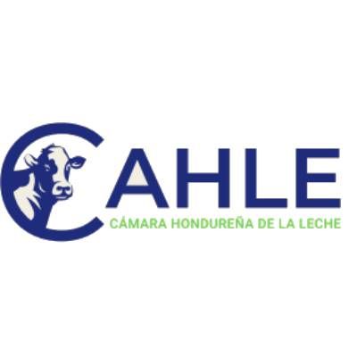 Proyecto nuevo (12)