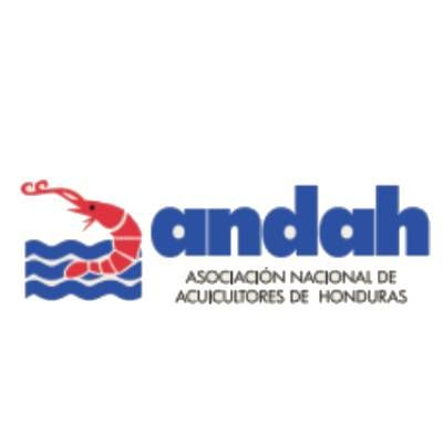 Proyecto nuevo (15)
