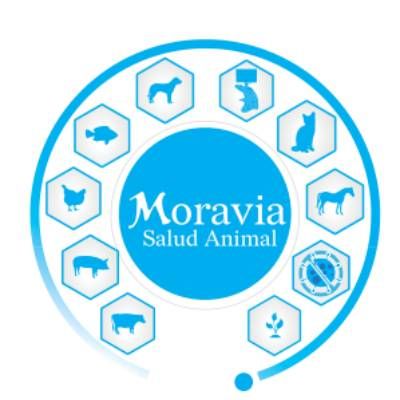 Proyecto nuevo (5)